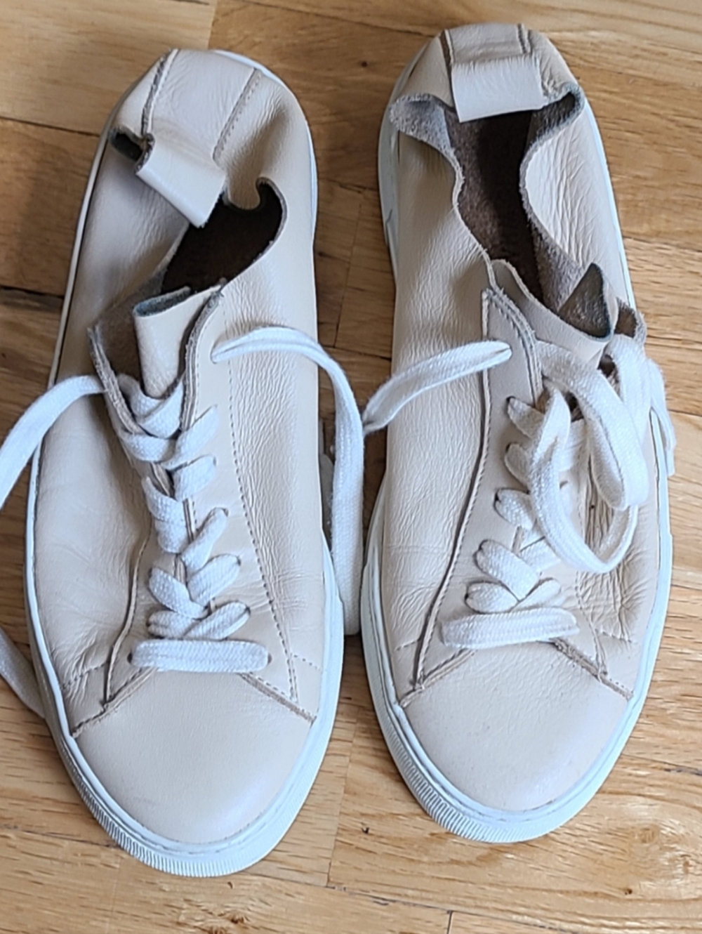 Whowhatwear Daria Platform Leather Sneaker Effortless Chic Sz 7 Quiet Luxury - Picture 2 of 10